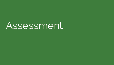 Assessment